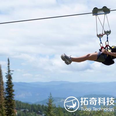 空中飞人  峡谷飞人