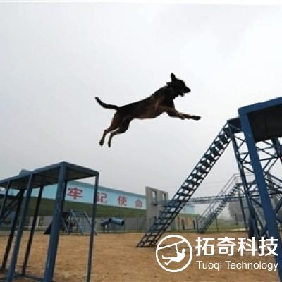 搜救犬障碍  警犬障碍