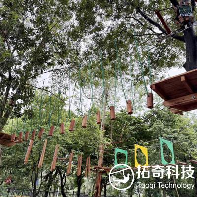 广州南沙飞跃丛林森林探险项目完美收官